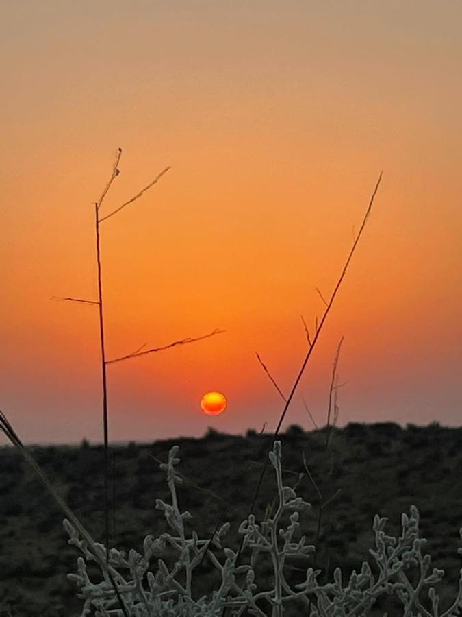 Kings Villa Jaisalmer Dış mekan fotoğraf