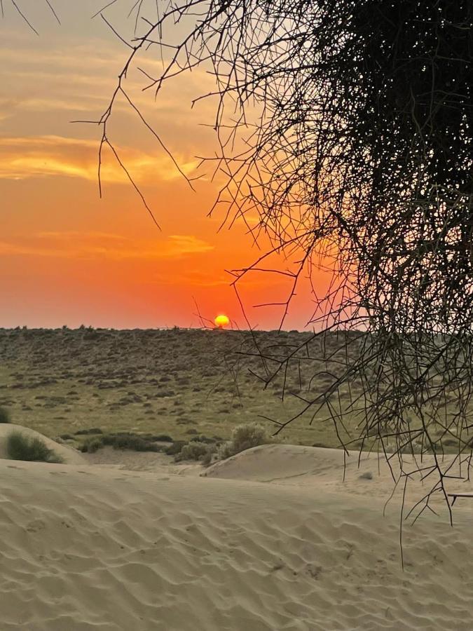 Kings Villa Jaisalmer Dış mekan fotoğraf